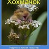 Анна Иванющенко