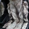 АвтоНаноГаджет