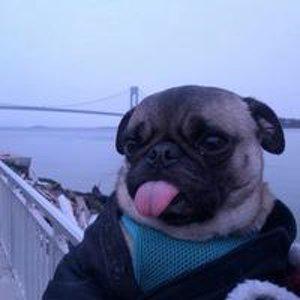 Дима Беленя