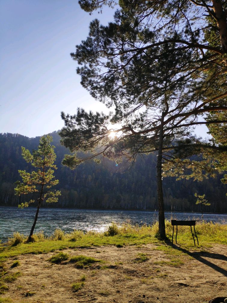 Чепош парк алтай фото