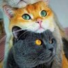 Иванна