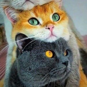 Иванна
