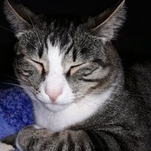 aleksandr