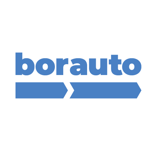 Боравто викинги. БОРАВТО логотип. БОРАВТО Воронеж. БОРАВТО на Остужева. Бор авто.