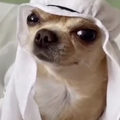 DYING LIGHT 2 MEMES - YouTube