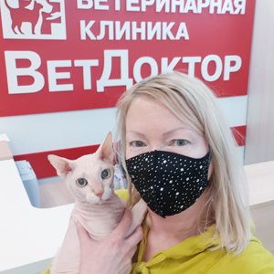 Ветдоктор. Ветдоктор Новосибирск. Клиника Ветдоктор Вологда. Ветдоктор Нижневартовск. Лопатина Ветдоктор.