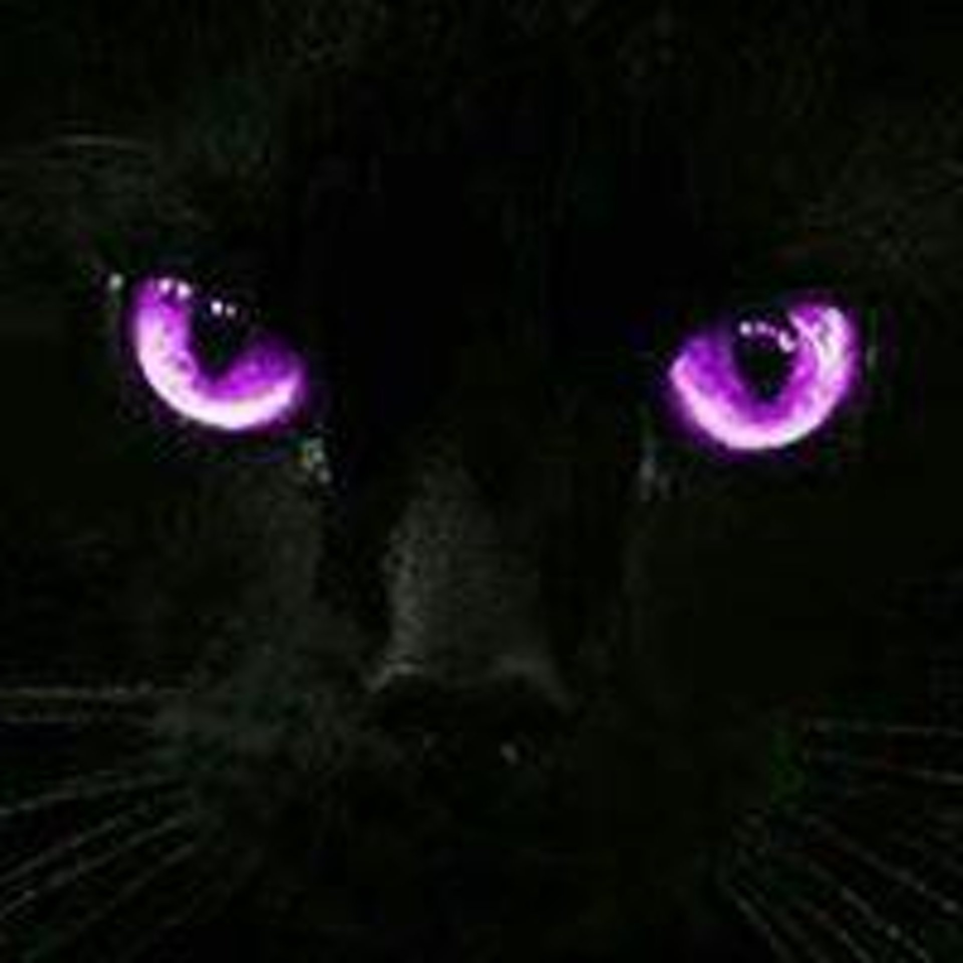 Чёрный котёнок с веольетовыми глазами