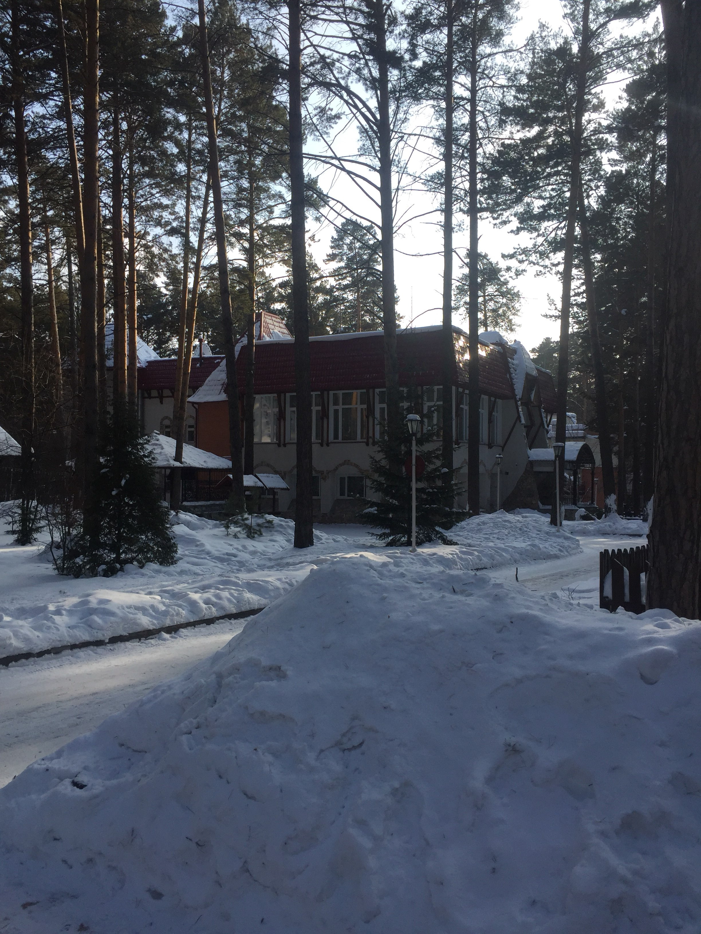 Хвоя парк отель новосибирск. Хвоя парк отель Бердск. Парк отель Былина Новосибирск. Былина Бердск.