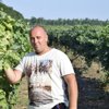 Петр Подгорнов