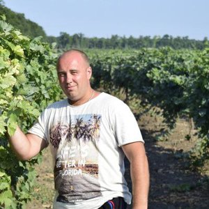 Петр Подгорнов