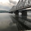 Птичка певчая