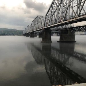 Птичка певчая