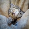 сауна ривьера в новокузнецке. Смотреть фото сауна ривьера в новокузнецке. Смотреть картинку сауна ривьера в новокузнецке. Картинка про сауна ривьера в новокузнецке. Фото сауна ривьера в новокузнецке