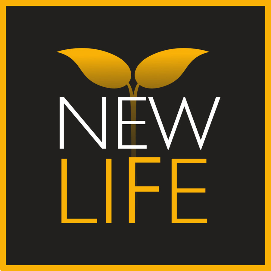 The New Life. New Life картинки. New Life logo. New Life logotip.