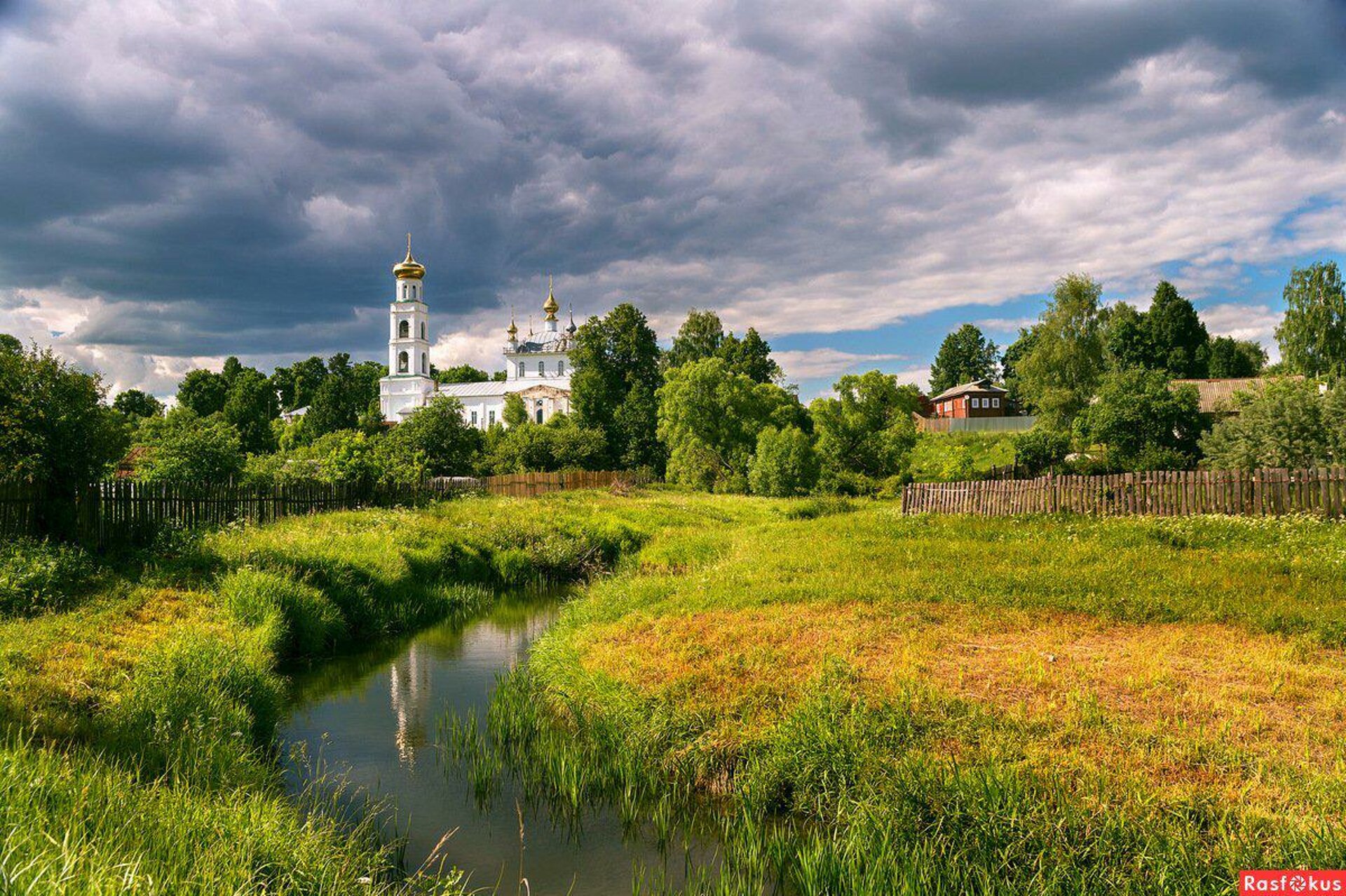 Зоосити лайф, зооветцентр, проспект Победы, 18Б, Казань — 2ГИС