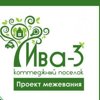 Ива-3