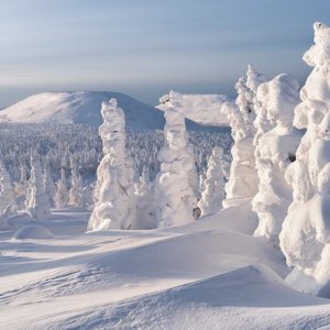 Алинка