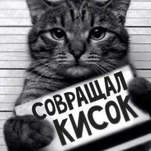 Igor Nikolaev