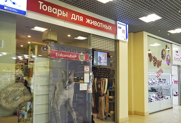 Зверек сити оренбург. Зоомагазин зоосити. Зверёк сити оренбург ветклиника. Зверек сити оренбург. Зоомагазин на просторной оренбург.
