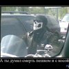 Korsar Motottziklov