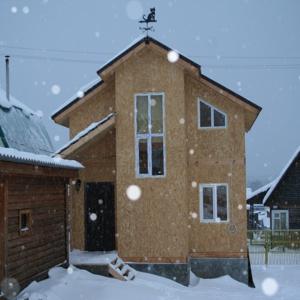 дом пока без отделки, ничего, стоит, не мерзнет, не мокнет, не темнеет