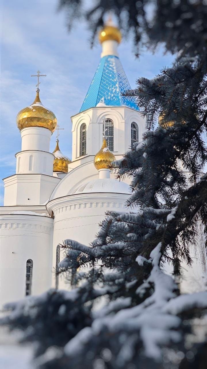 Храм Рождества Христова: отзыв от Сергей Епифанцев