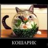 Артём Костюченко