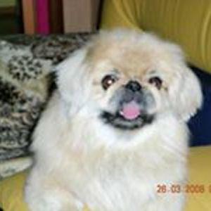 Юрий Ананьев