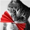 Anne