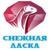 Снежная ласка