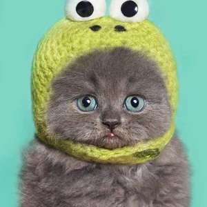 жженя