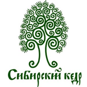 Сибирский кедр