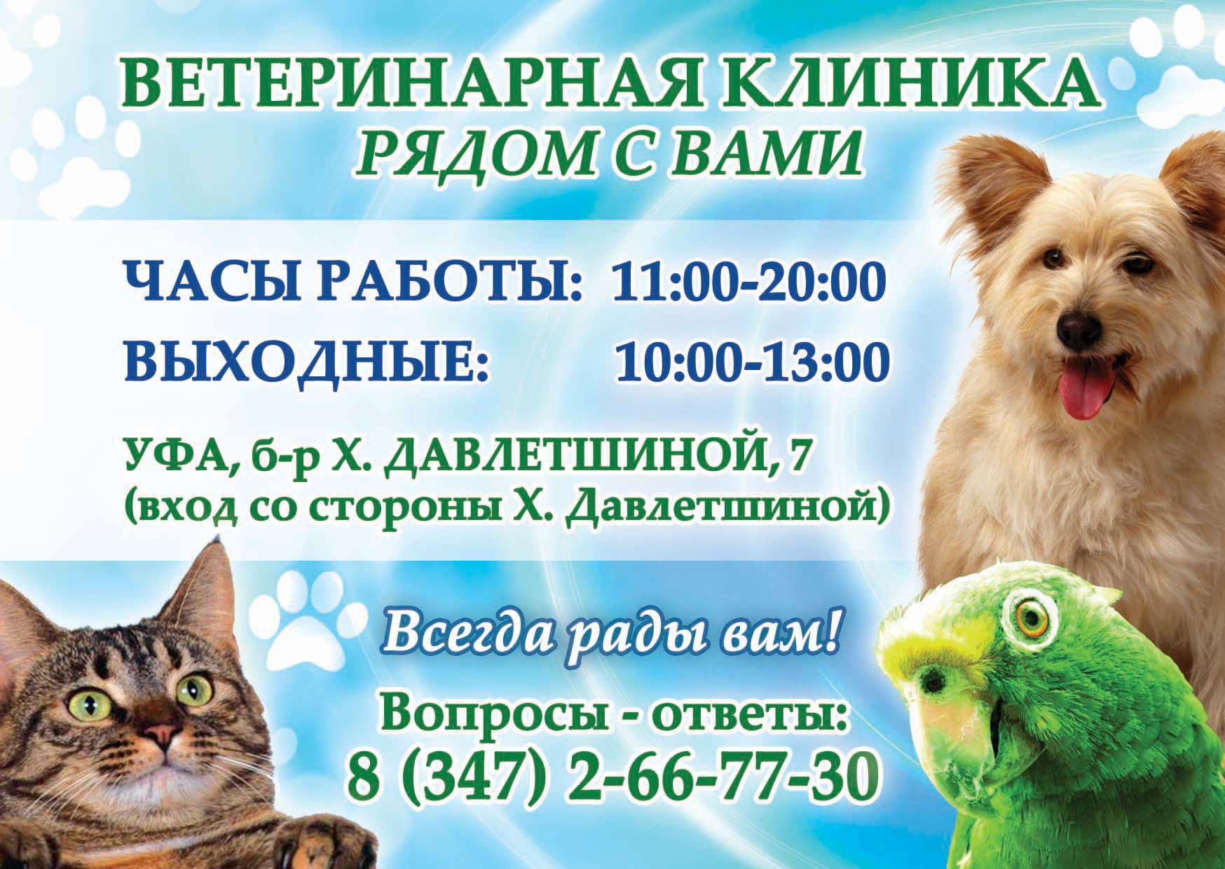 Ветеринарная клиника Уфа