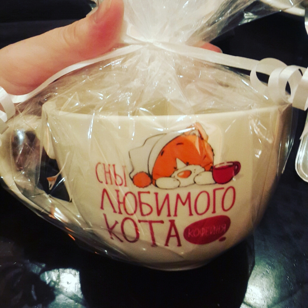 Сны любимого кота