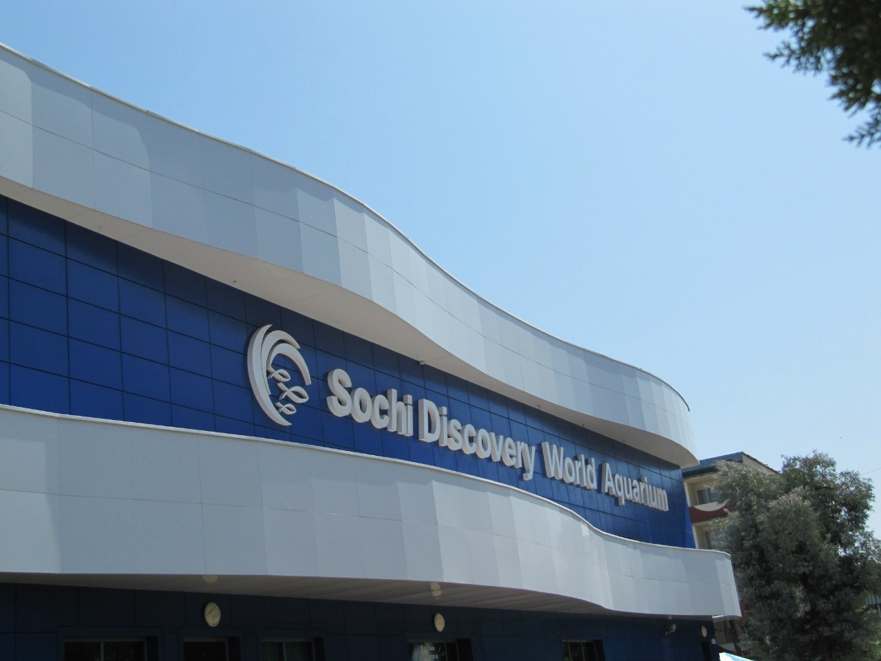 Океанариум Адлер Ленина 219а. Sochi Discovery World Aquarium ул. Ленина, 219а/4, Сочи. Сочи улица Ленина 219а/4. Сочи Ленина 219.