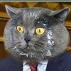 Евгений Котляров