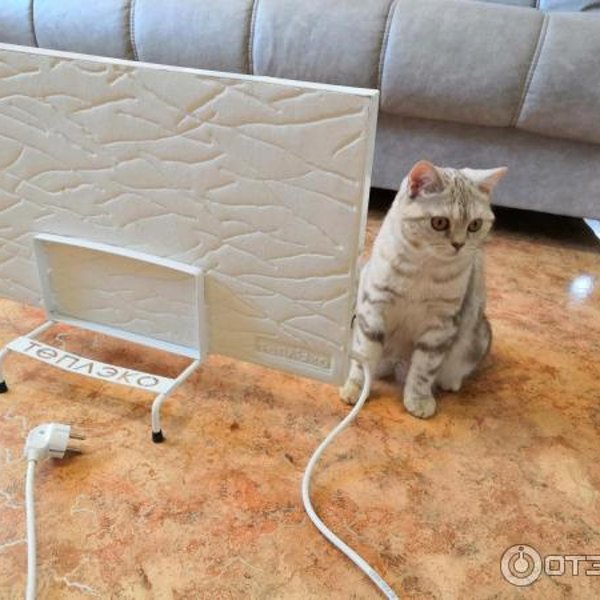 Блэкджек конопля Блэкджек конопля тяжёлые наркотики