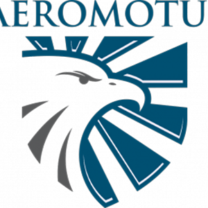 Aeromotus