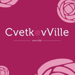 CvetkovVille