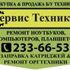 Сервис Техники, IT-компания