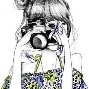 k_lesy