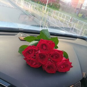 Lera.GG
