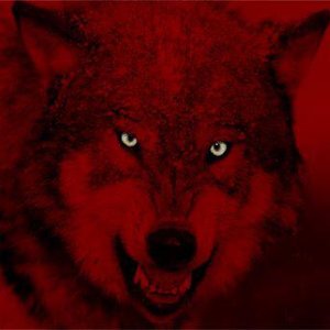 Red_Wolf_777