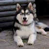 Кристина