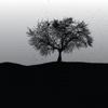abend