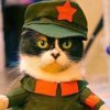 солдат Кусь