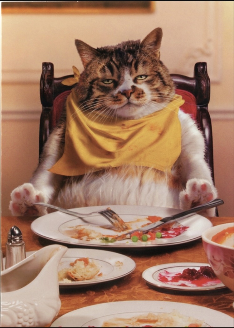 ������� ���� ��������