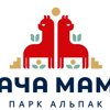 Пача мама