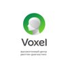 Voxel