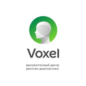 Voxel